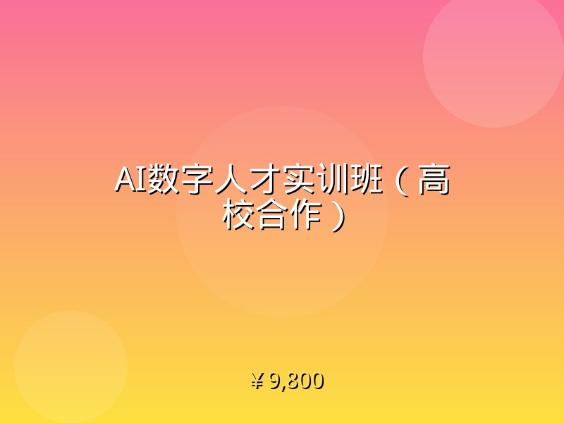 AI数字人才实训班（高校合作）